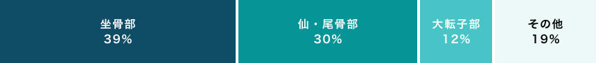 褥瘡手術部位別割合の図