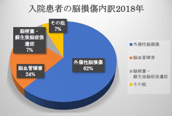 入院患者脳損傷内訳の2018年