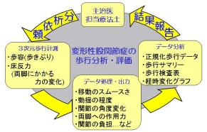 図１　臨床歩行分析の流れ