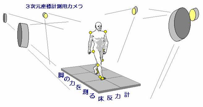 歩行計測の様子